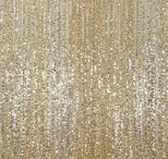 champagne  florida photo booth rental curtain