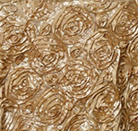 gold rosette florida photo booth rental curtain