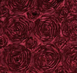 red rosette florida photo booth rental curtain